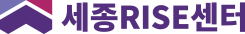 세종RISE